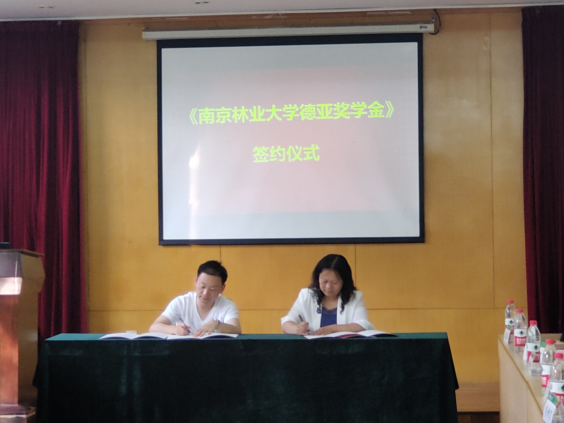 图片8